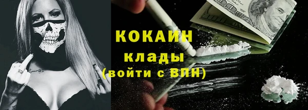 амф Верея