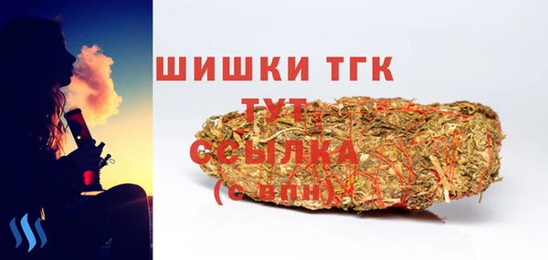 прущая мука Вяземский