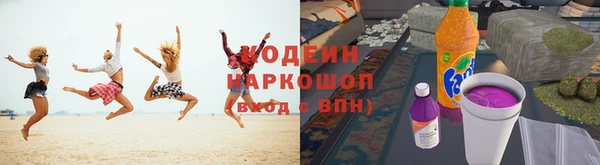 прущая мука Вяземский