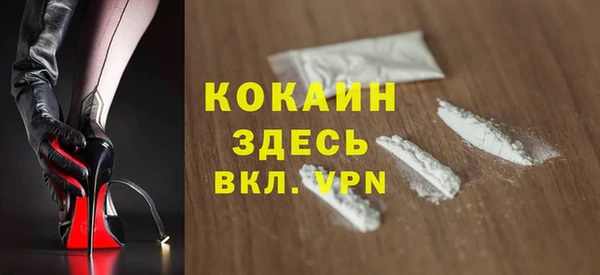 прущая мука Вяземский