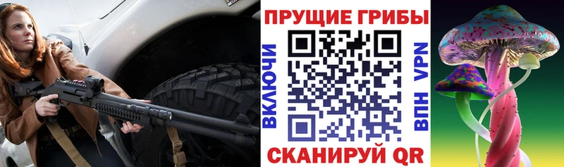 Псилоцибиновые грибы прущие грибы Закаменск